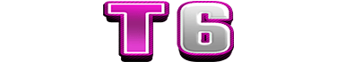 T6